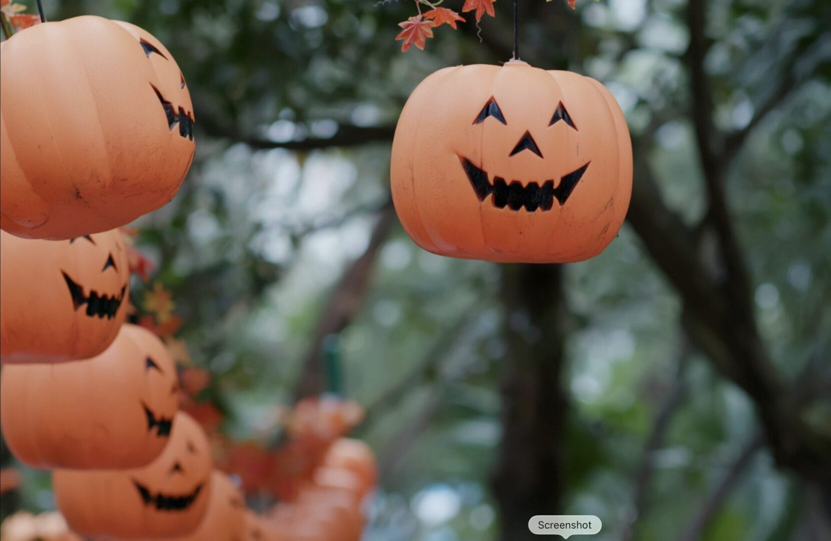 RV Pumpkin Package